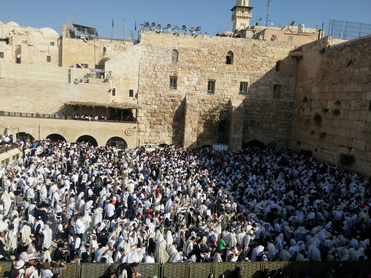 22 ילדים אבדו בכותל המערבי • התיעוד המשטרתי