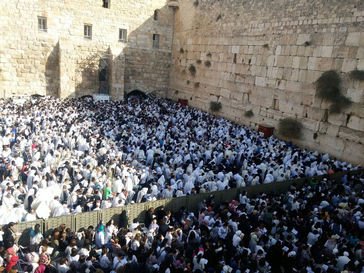 22 ילדים אבדו בכותל המערבי • התיעוד המשטרתי