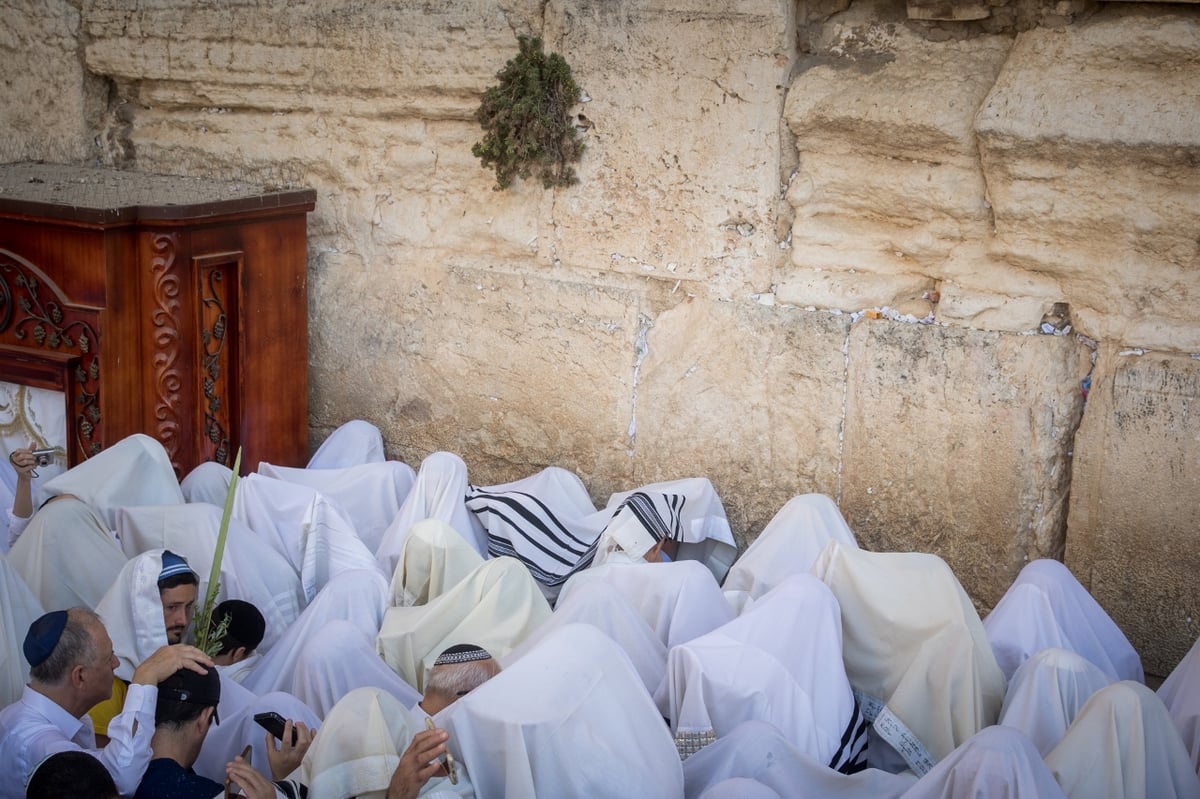 מרהיב: מעמד ברכת כהנים בכותל המערבי • צפו