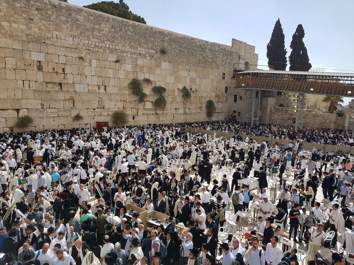 מרהיב: מעמד ברכת כהנים בכותל המערבי • צפו