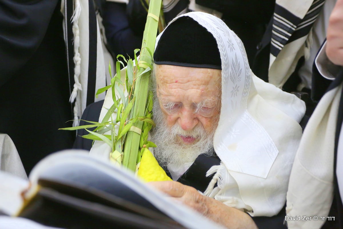 תיעוד מיוחד: מרן שר התורה בנטילת ארבעת מינים