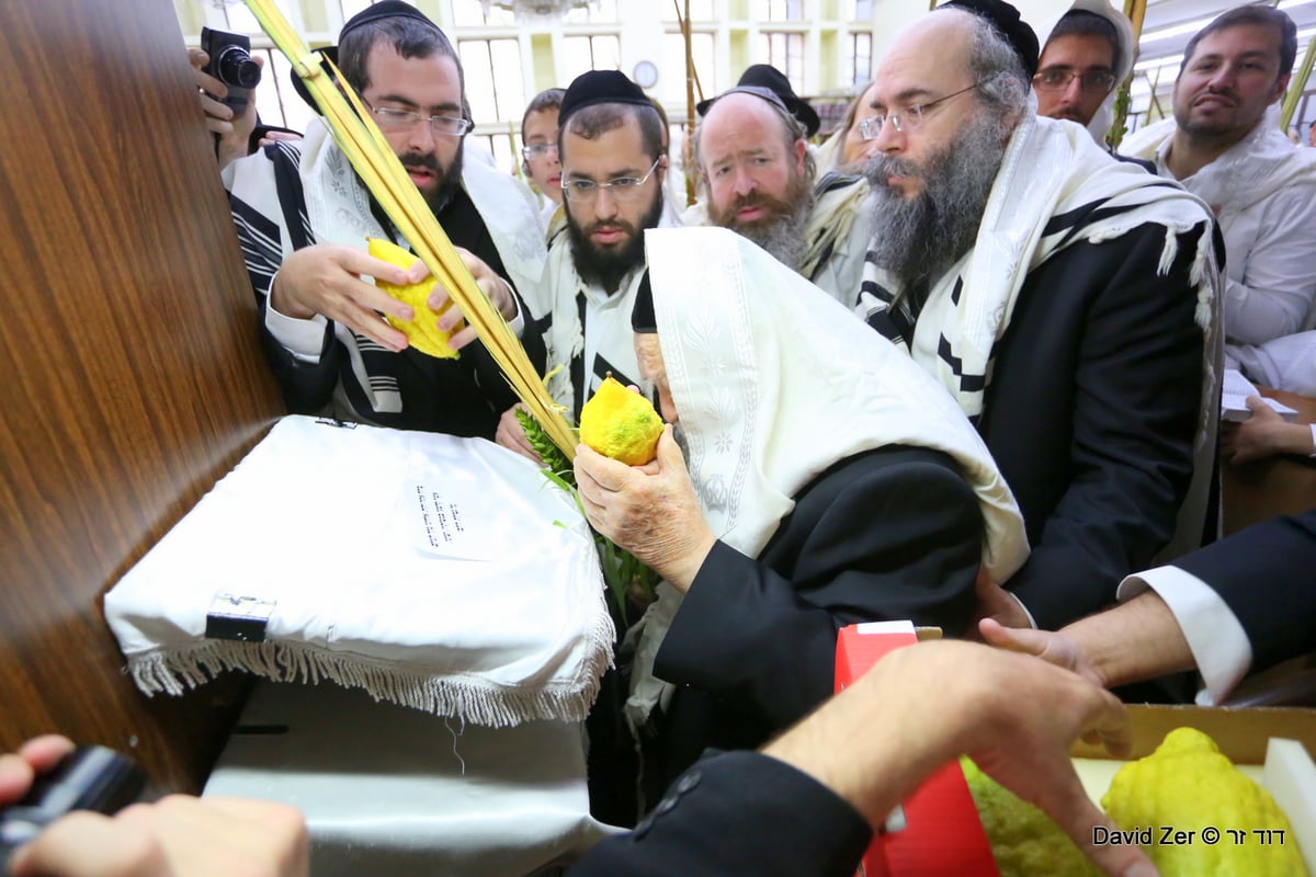 תיעוד מיוחד: מרן שר התורה בנטילת ארבעת מינים