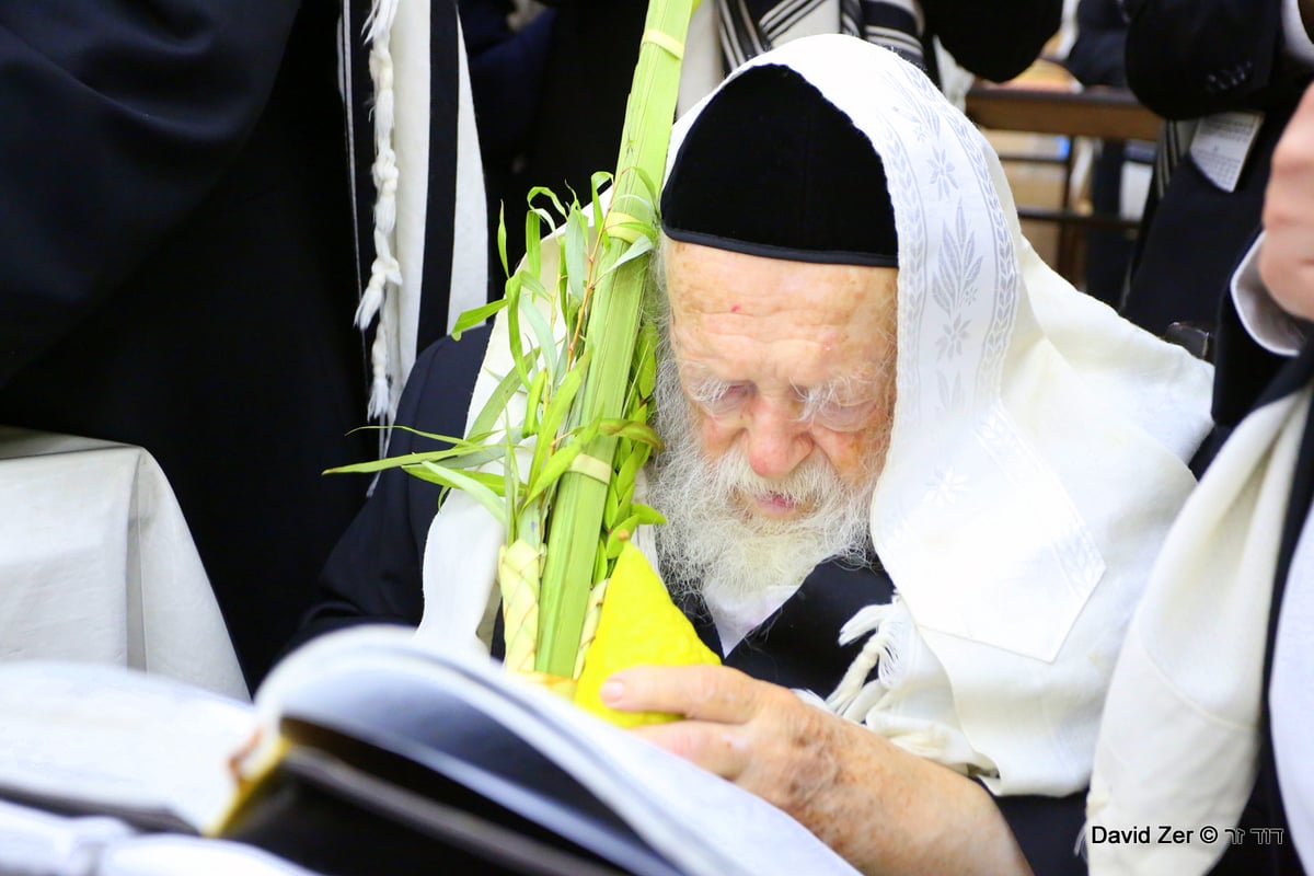 תיעוד מיוחד: מרן שר התורה בנטילת ארבעת מינים