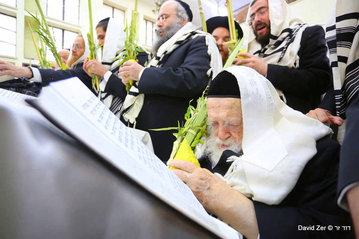 תיעוד מיוחד: מרן שר התורה בנטילת ארבעת מינים