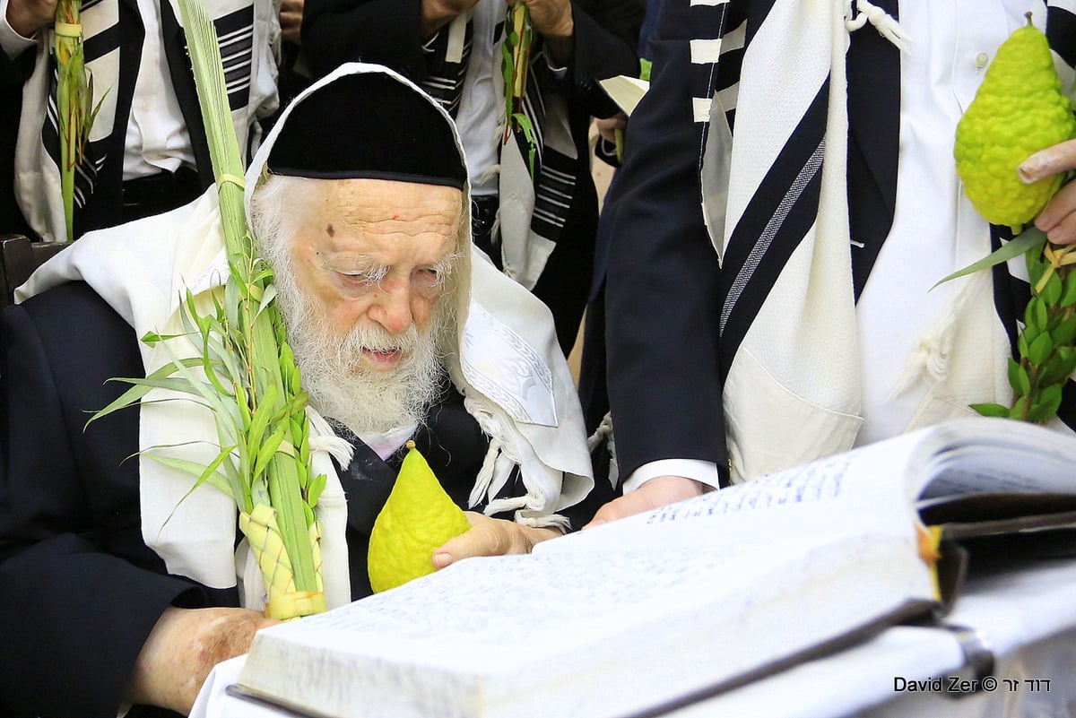 תיעוד מיוחד: מרן שר התורה בנטילת ארבעת מינים