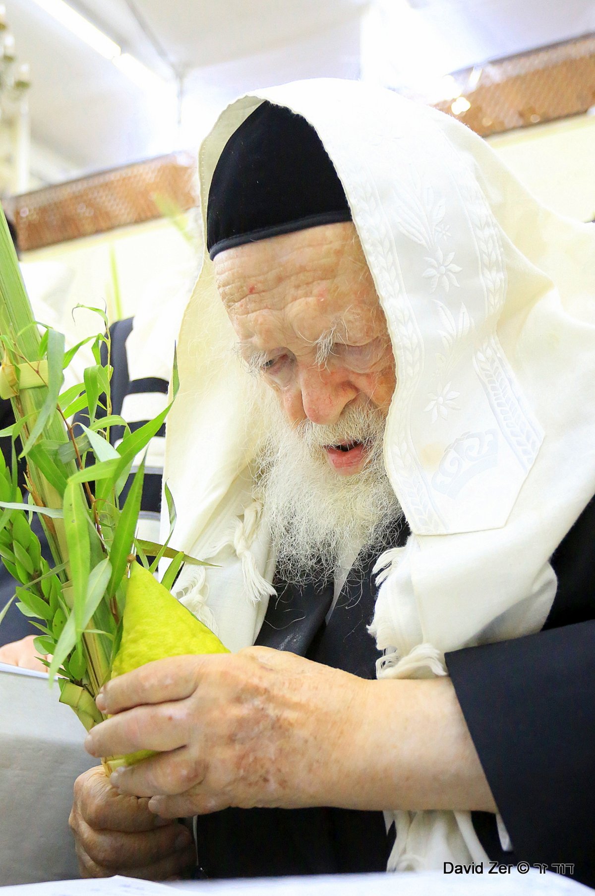 תיעוד מיוחד: מרן שר התורה בנטילת ארבעת מינים