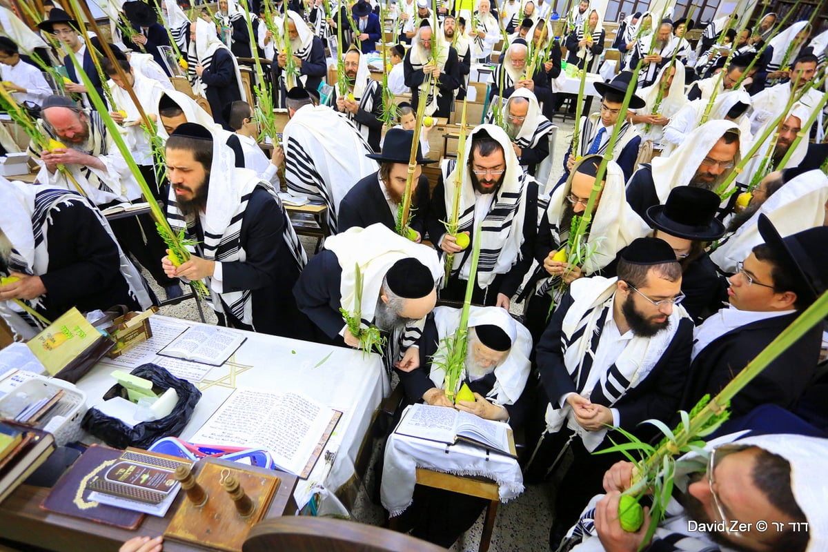 תיעוד מיוחד: מרן שר התורה בנטילת ארבעת מינים