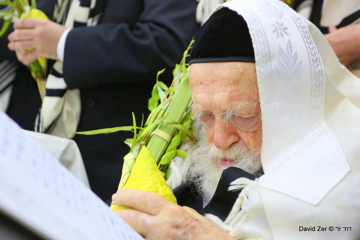 תיעוד מיוחד: מרן שר התורה בנטילת ארבעת מינים