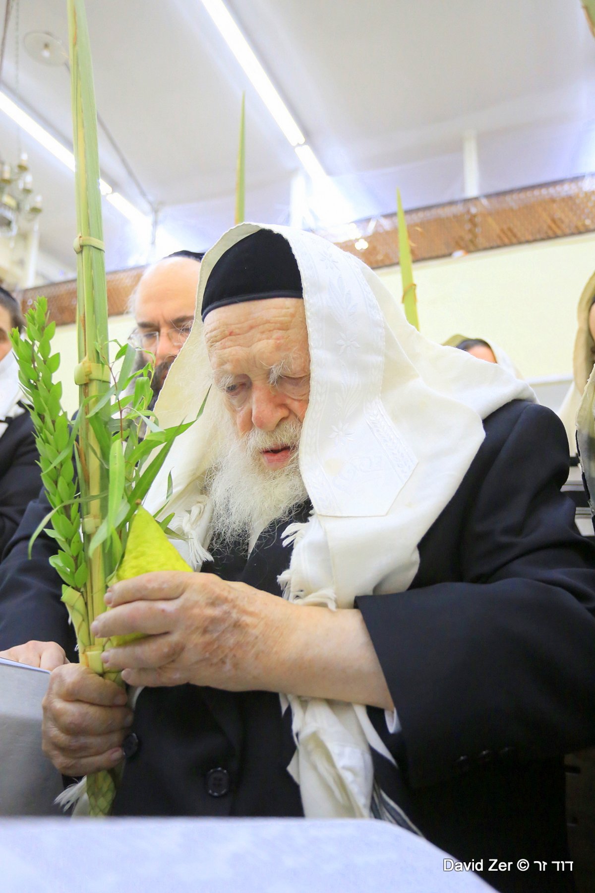 תיעוד מיוחד: מרן שר התורה בנטילת ארבעת מינים