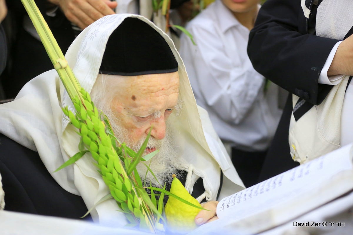 תיעוד מיוחד: מרן שר התורה בנטילת ארבעת מינים