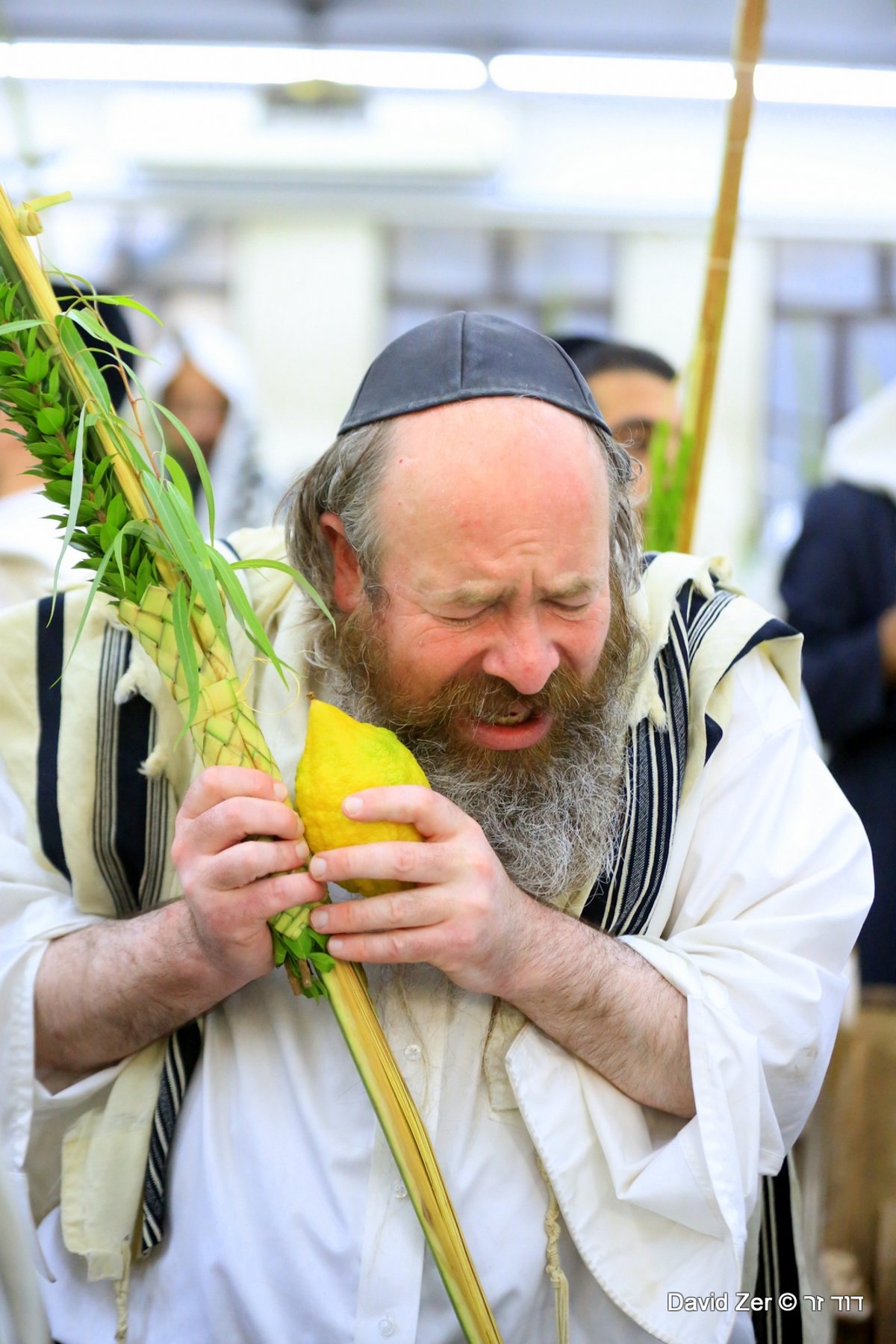 תיעוד מיוחד: מרן שר התורה בנטילת ארבעת מינים