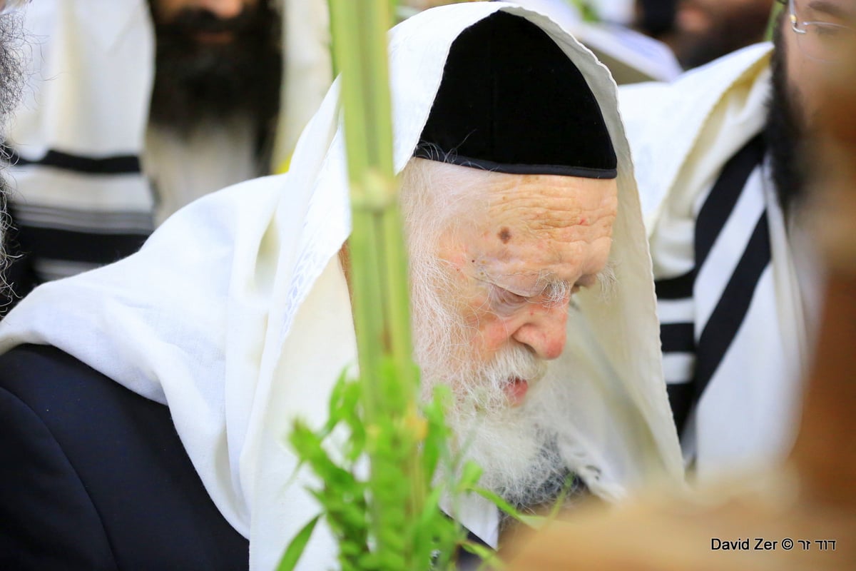 תיעוד מיוחד: מרן שר התורה בנטילת ארבעת מינים