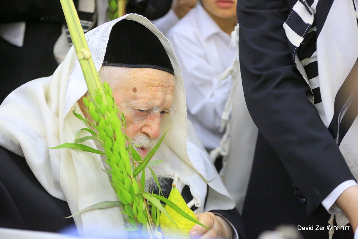 תיעוד מיוחד: מרן שר התורה בנטילת ארבעת מינים