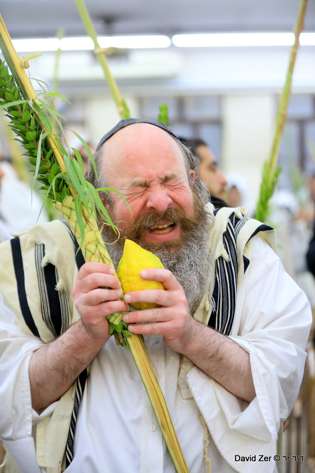 תיעוד מיוחד: מרן שר התורה בנטילת ארבעת מינים