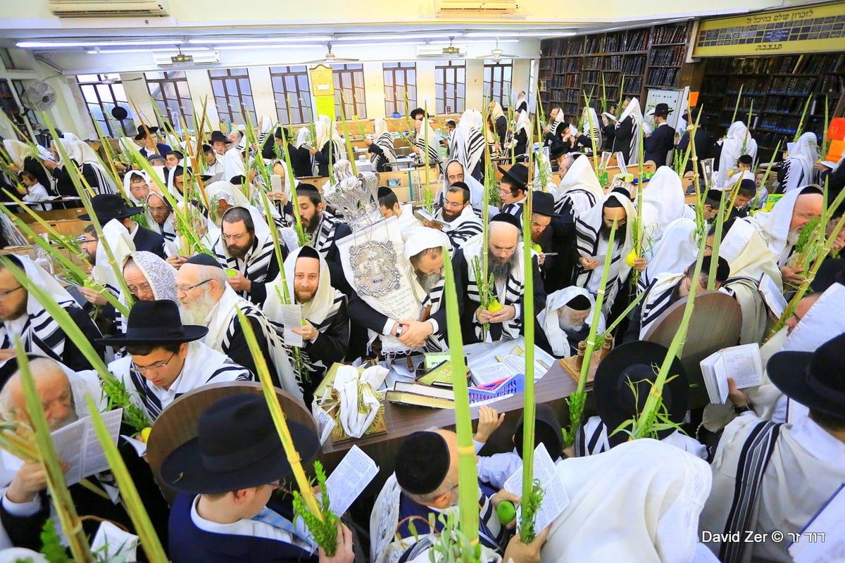 תיעוד מיוחד: מרן שר התורה בנטילת ארבעת מינים