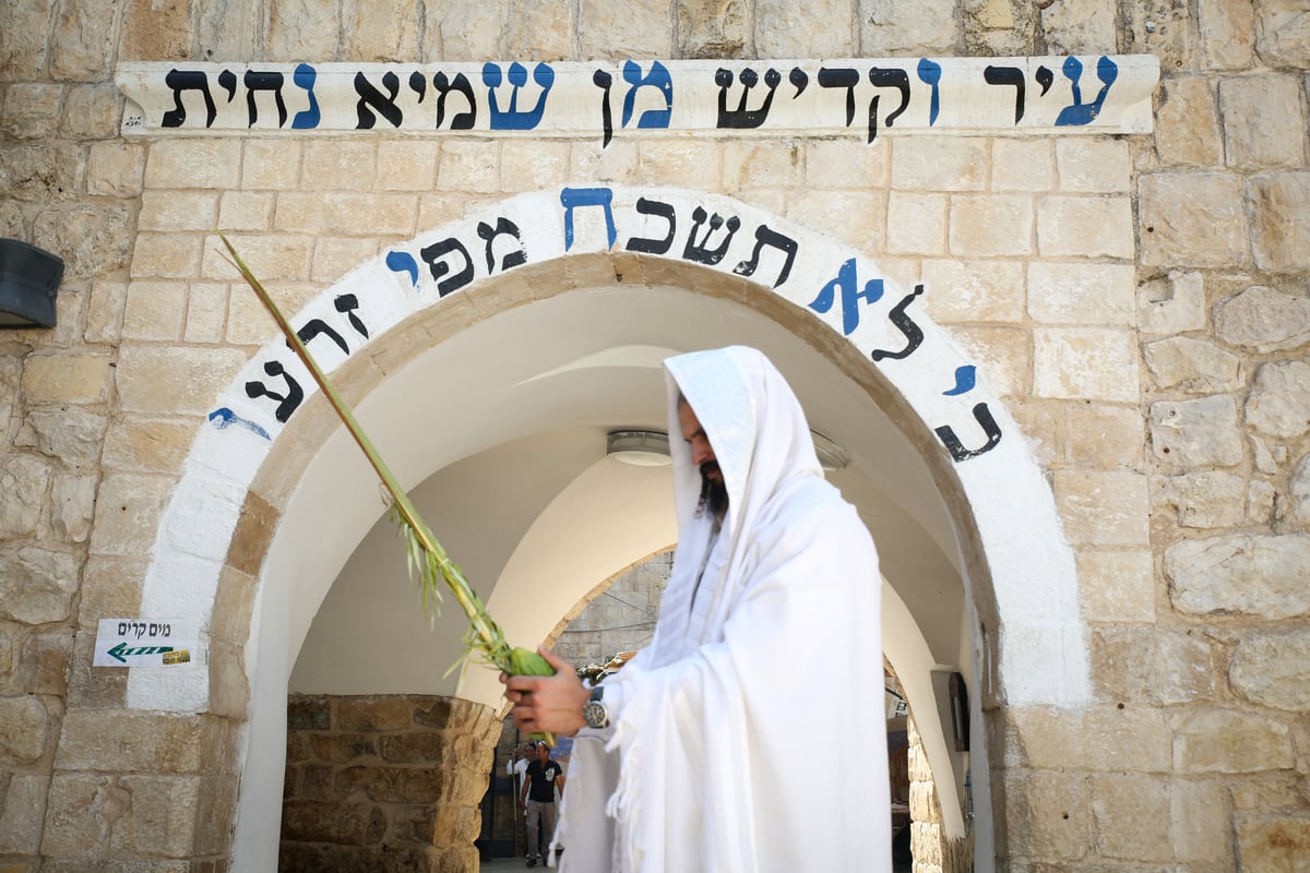 נטילת ארבעת המינים בציון הרשב"י במירון • צפו