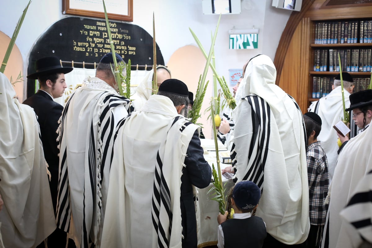 נטילת ארבעת המינים בציון הרשב"י במירון • צפו