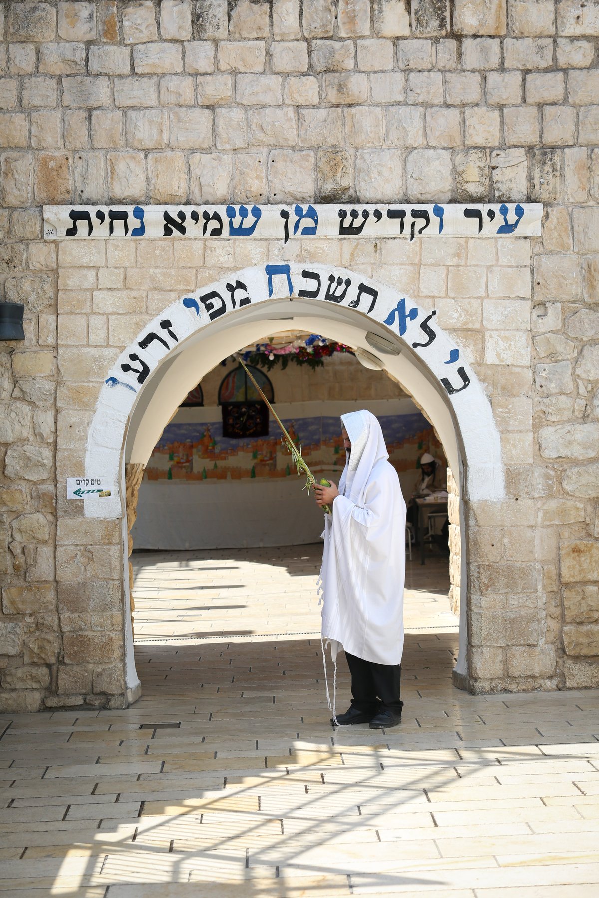 נטילת ארבעת המינים בציון הרשב"י במירון • צפו