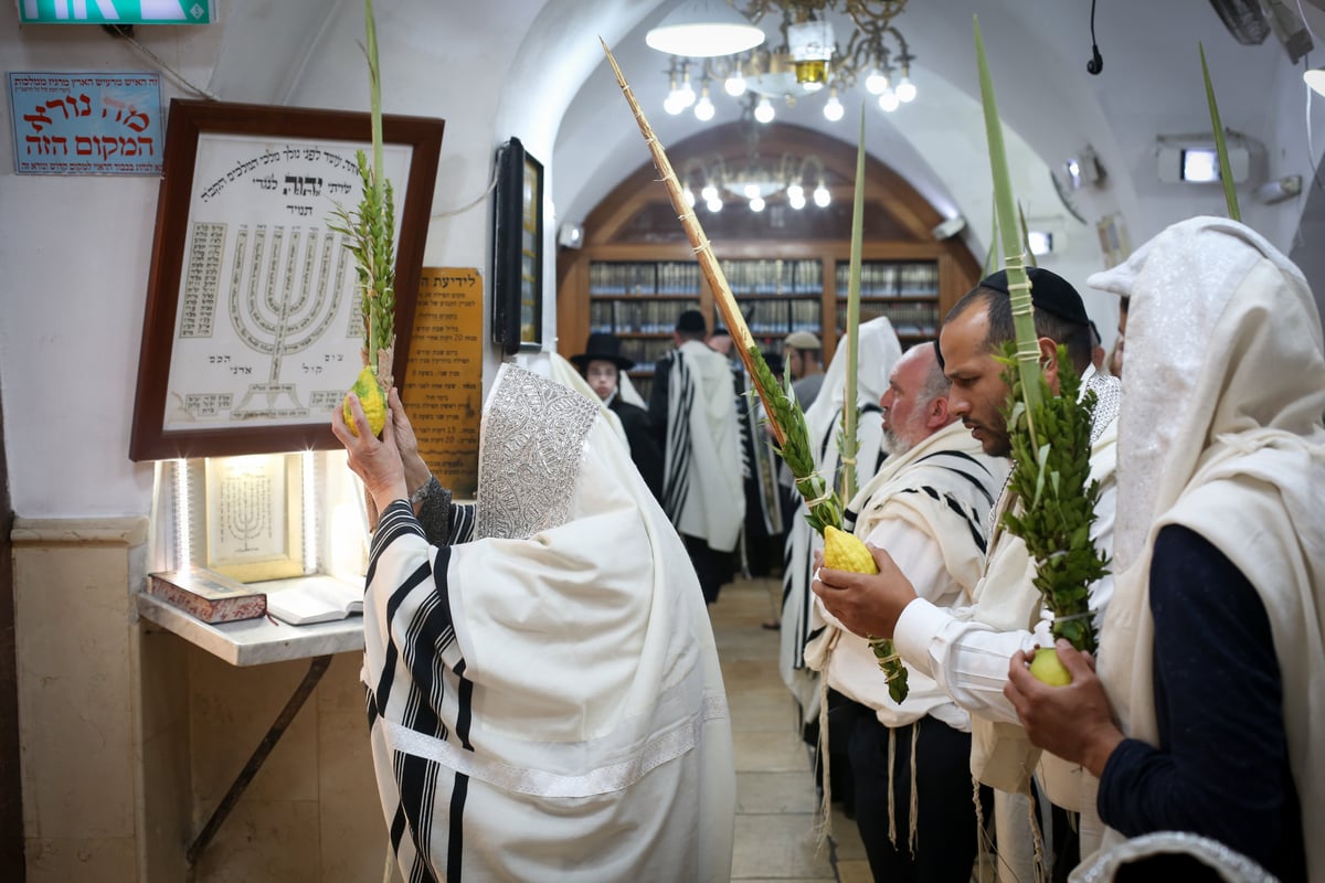 נטילת ארבעת המינים בציון הרשב"י במירון • צפו