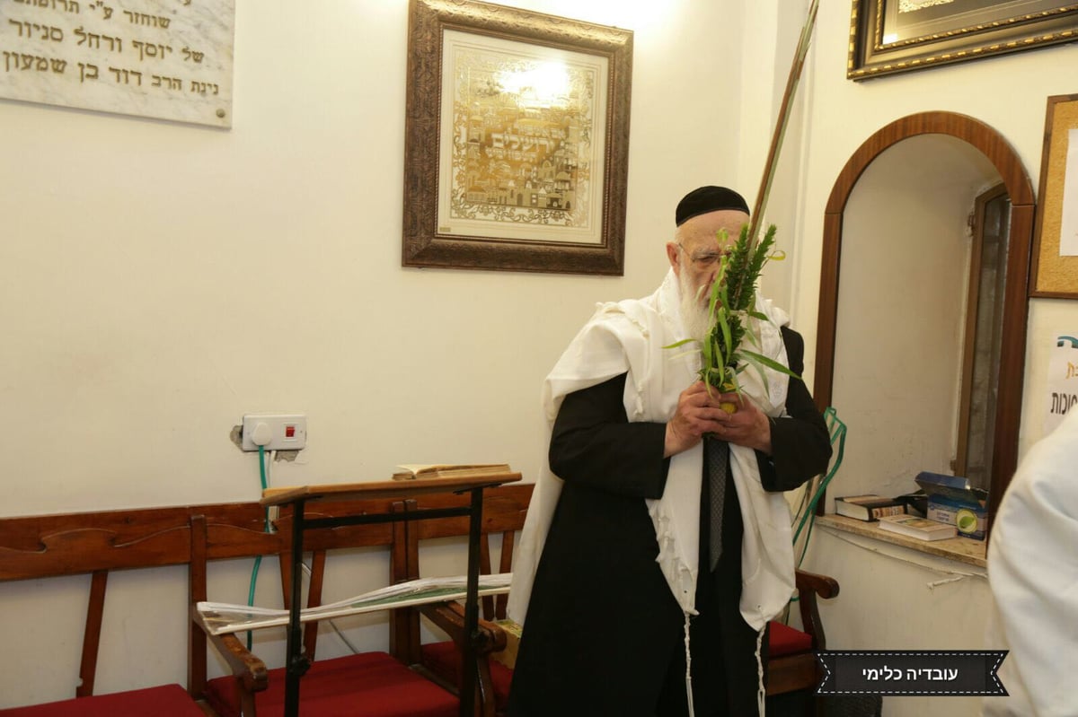 חג הסוכות במחיצת נשיא המועצת • תיעוד