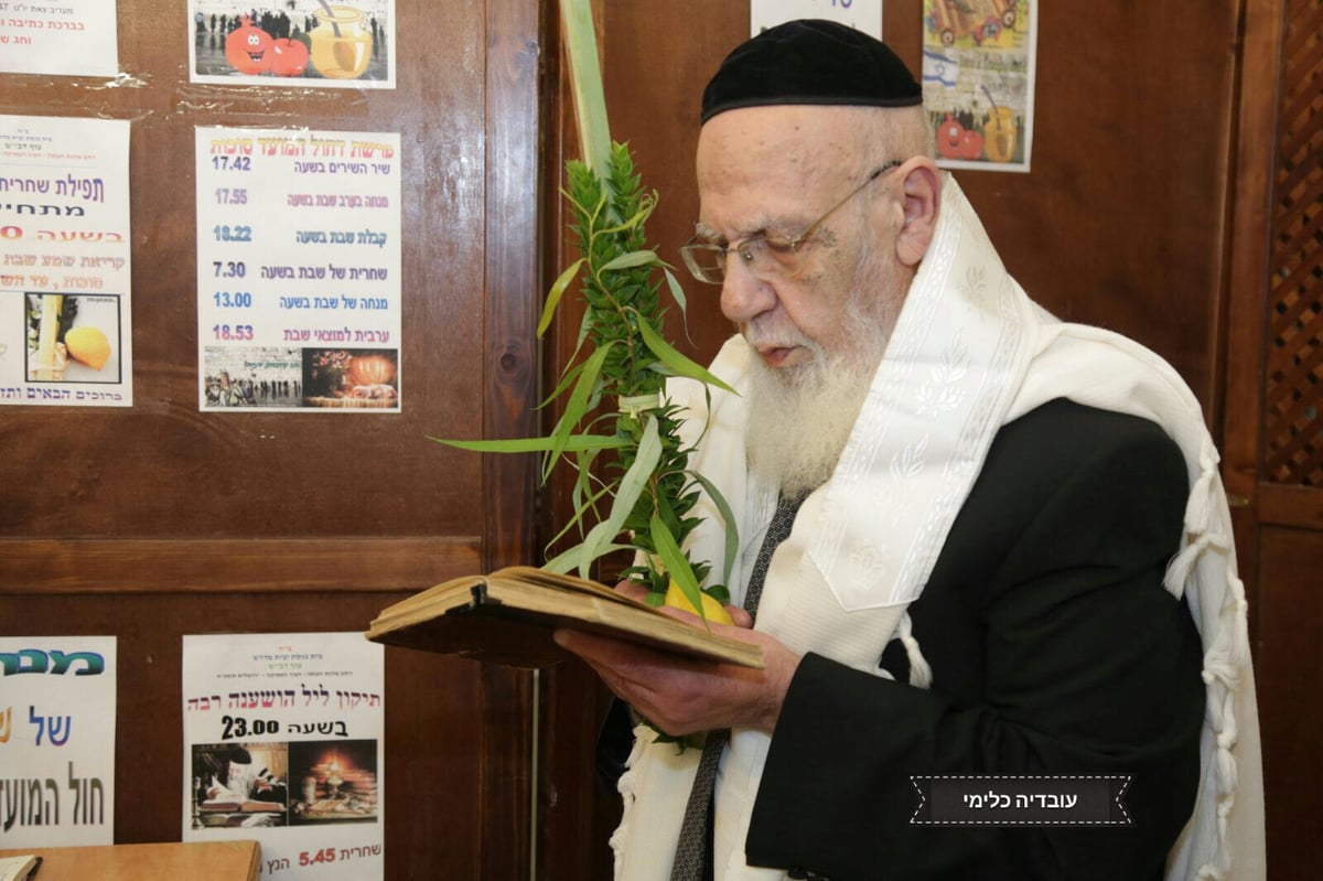 חג הסוכות במחיצת נשיא המועצת • תיעוד