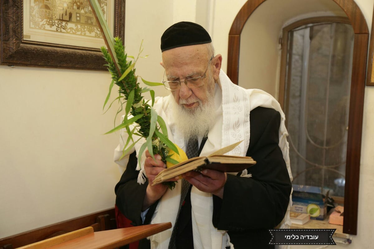 חג הסוכות במחיצת נשיא המועצת • תיעוד