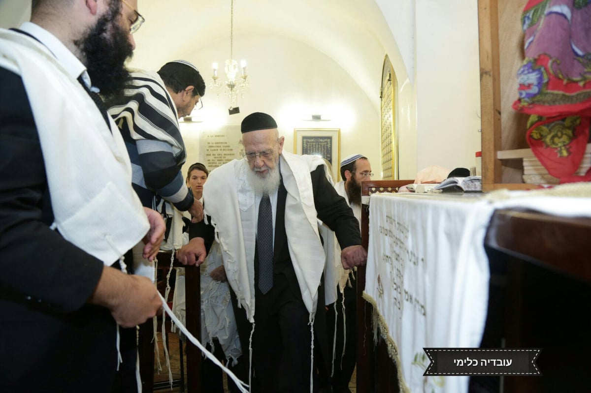 חג הסוכות במחיצת נשיא המועצת • תיעוד