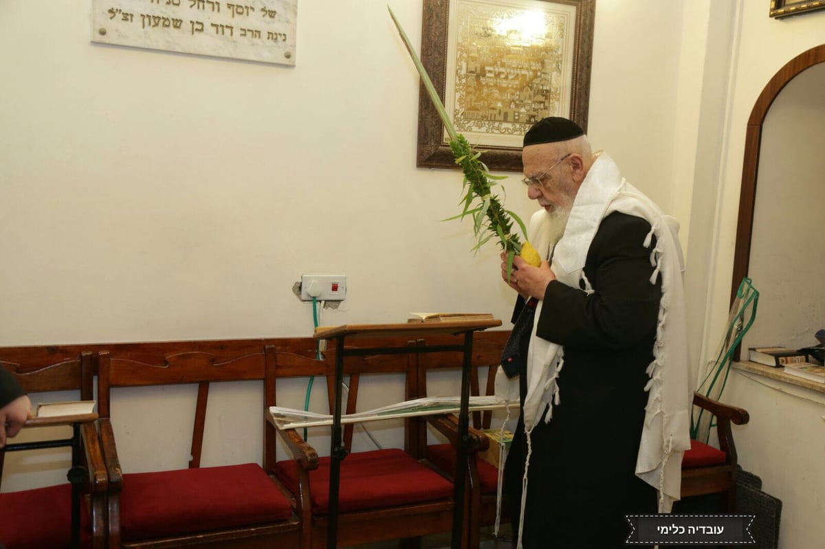 חג הסוכות במחיצת נשיא המועצת • תיעוד