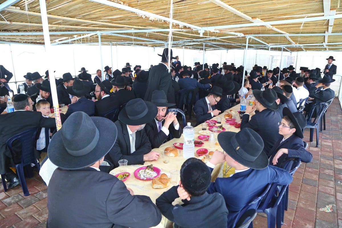 עכשיו הגלריה: מסיבת החג של 'דגל התורה'