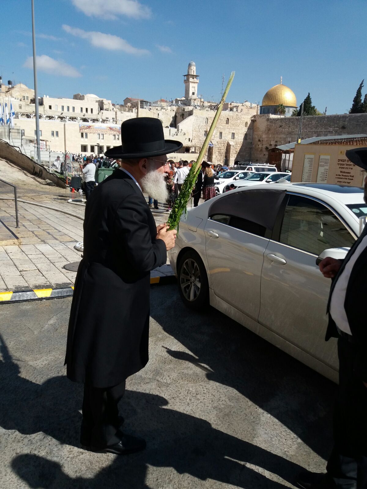 הגאון רבי ראובן אלבז נוטל ארבעת המינים בכותל