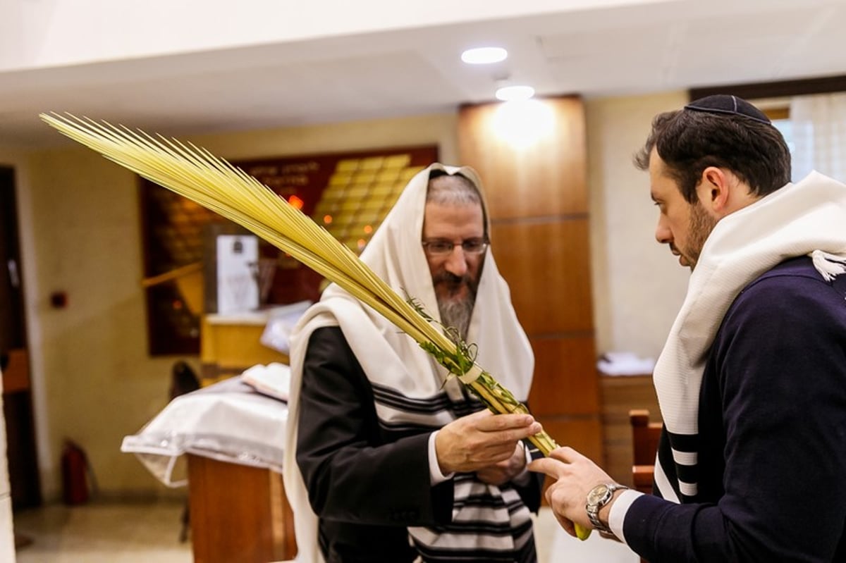 הושענא רבה במוסקבה • צפו בגלריה