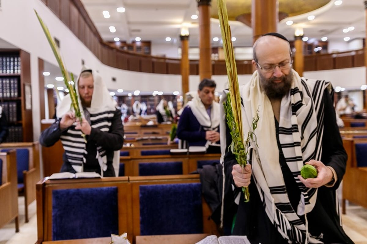 הושענא רבה במוסקבה • צפו בגלריה