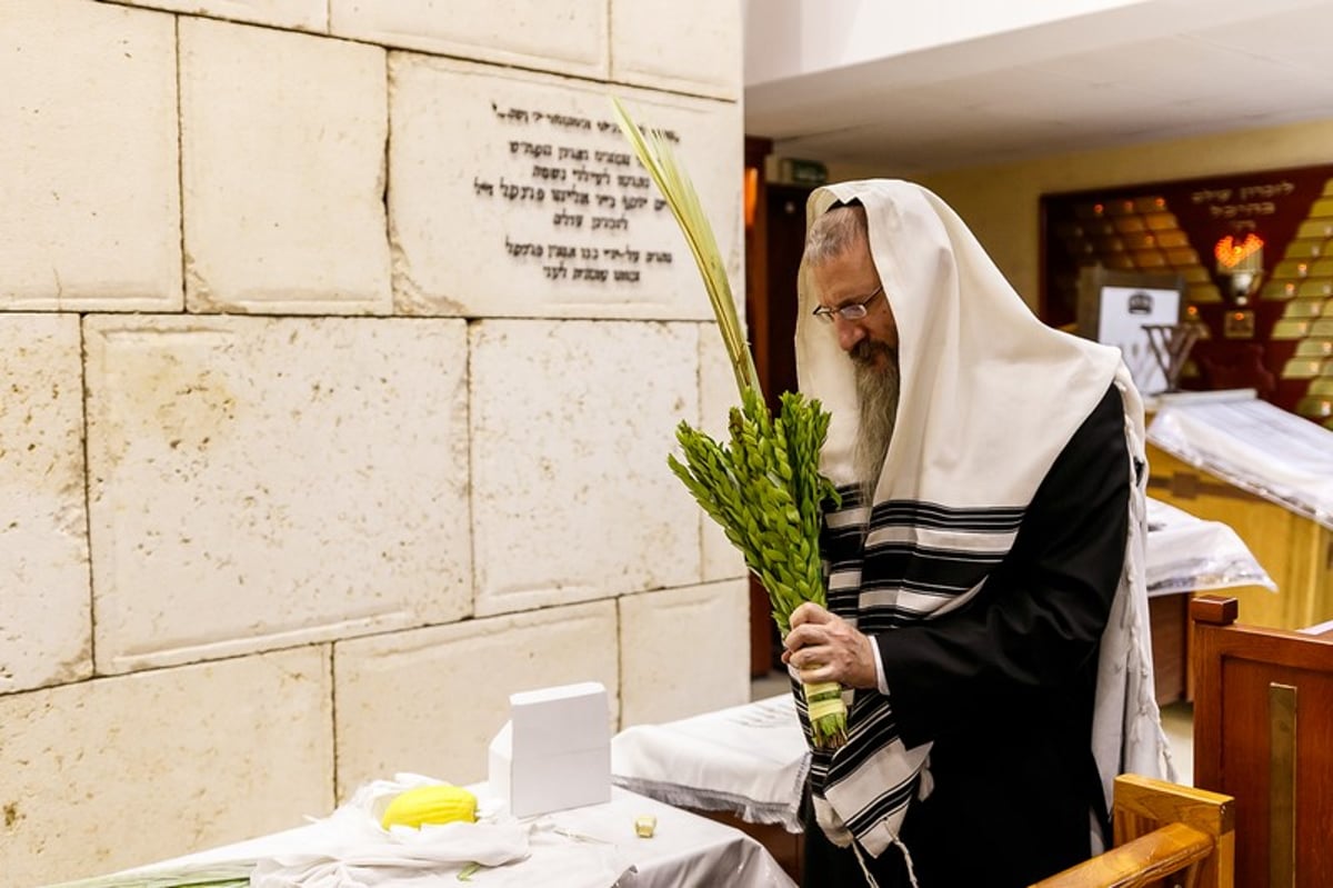 הושענא רבה במוסקבה • צפו בגלריה