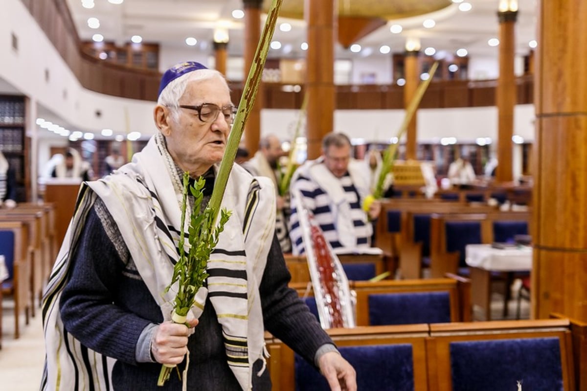 הושענא רבה במוסקבה • צפו בגלריה