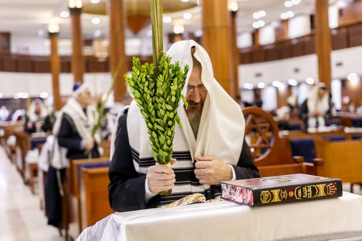 הושענא רבה במוסקבה • צפו בגלריה