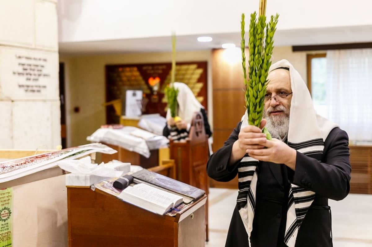 הושענא רבה במוסקבה • צפו בגלריה