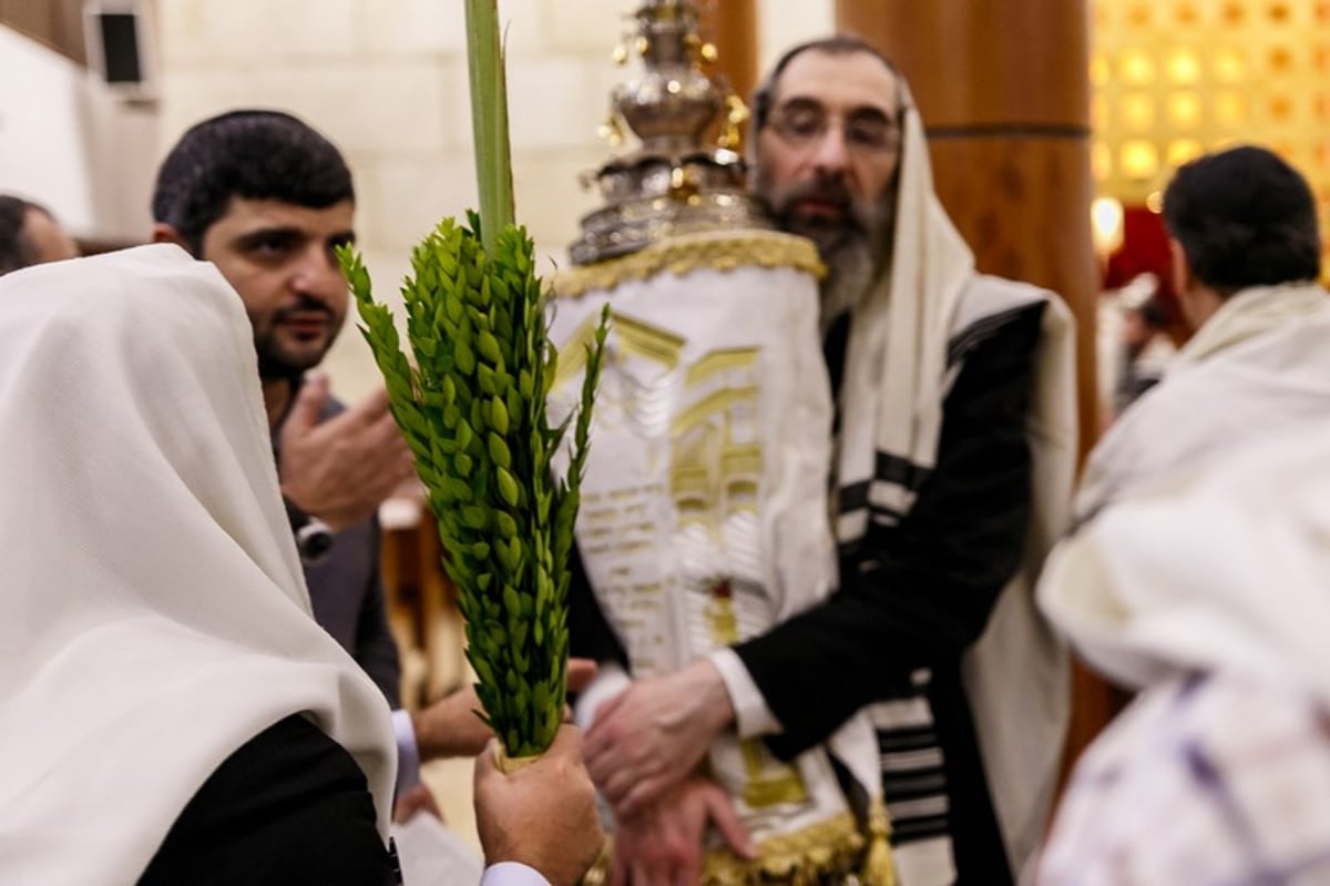 הושענא רבה במוסקבה • צפו בגלריה