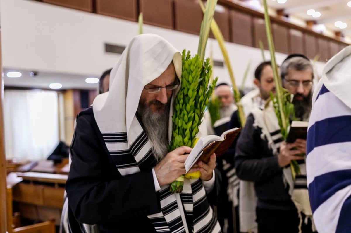 הושענא רבה במוסקבה • צפו בגלריה