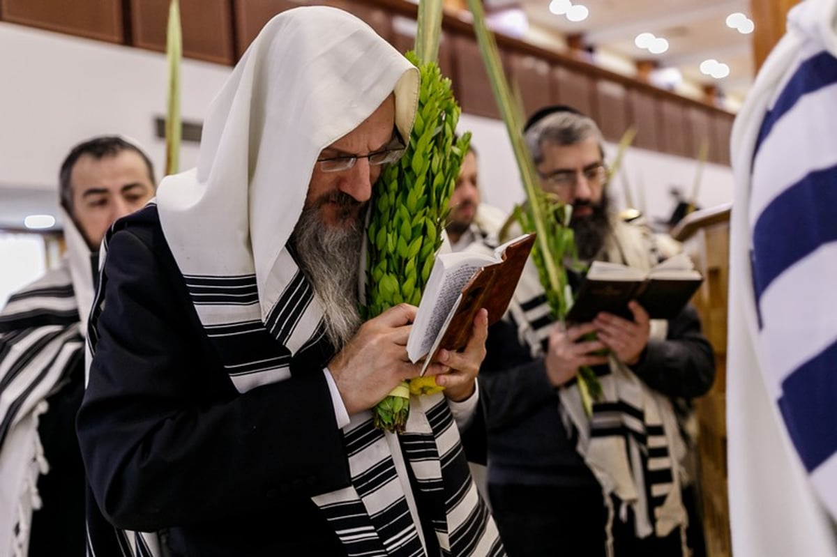 הושענא רבה במוסקבה • צפו בגלריה