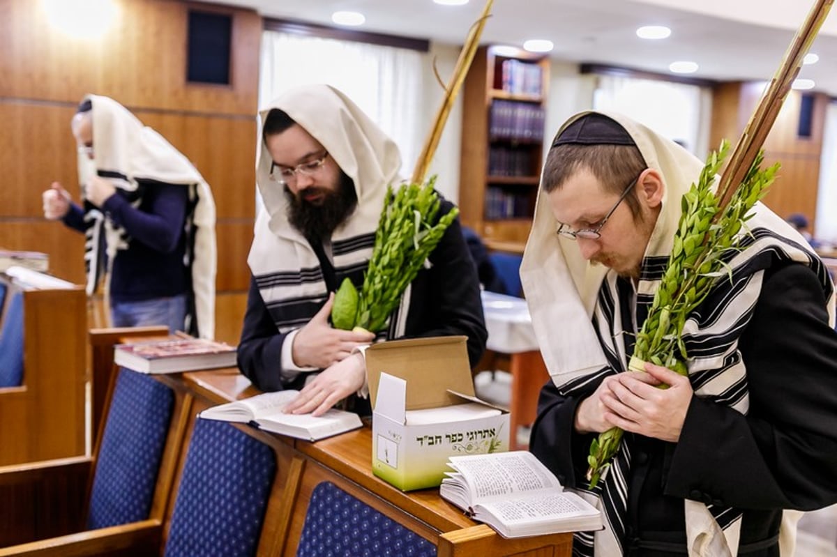 הושענא רבה במוסקבה • צפו בגלריה