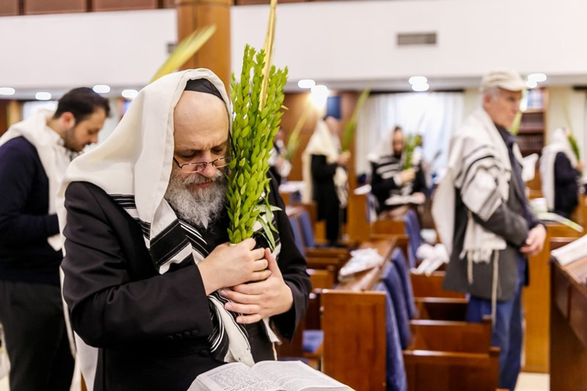 הושענא רבה במוסקבה • צפו בגלריה