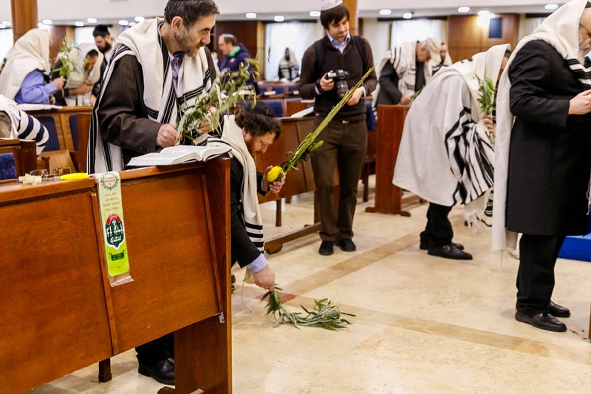 הושענא רבה במוסקבה • צפו בגלריה