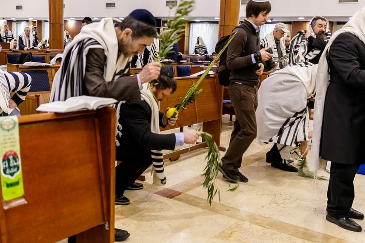 הושענא רבה במוסקבה • צפו בגלריה