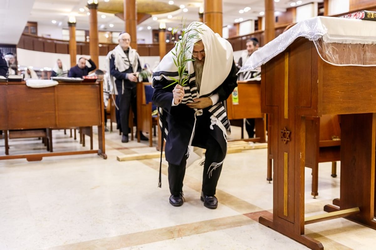 הושענא רבה במוסקבה • צפו בגלריה