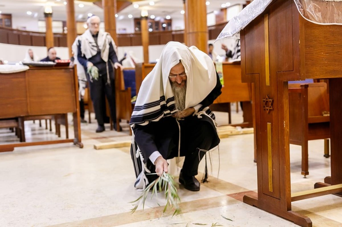 הושענא רבה במוסקבה • צפו בגלריה