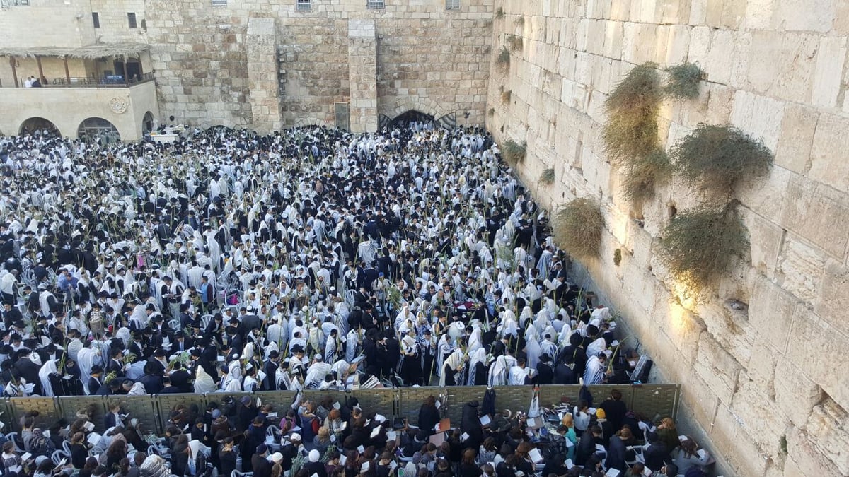 'הושענא רבה': אלפים הגיעו לכותל המערבי