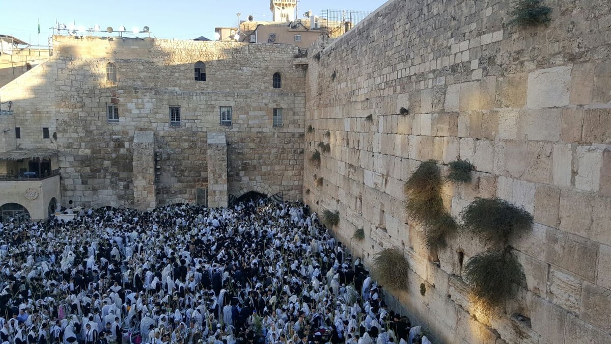 'הושענא רבה': אלפים הגיעו לכותל המערבי