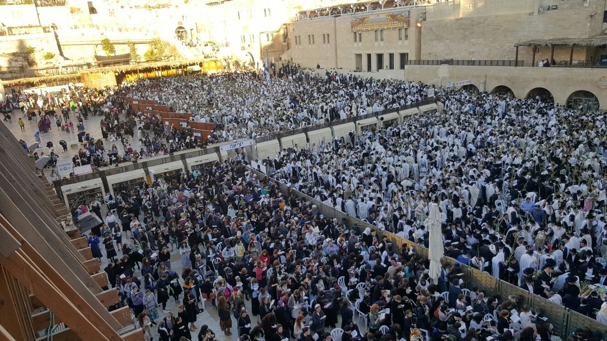 'הושענא רבה': אלפים הגיעו לכותל המערבי