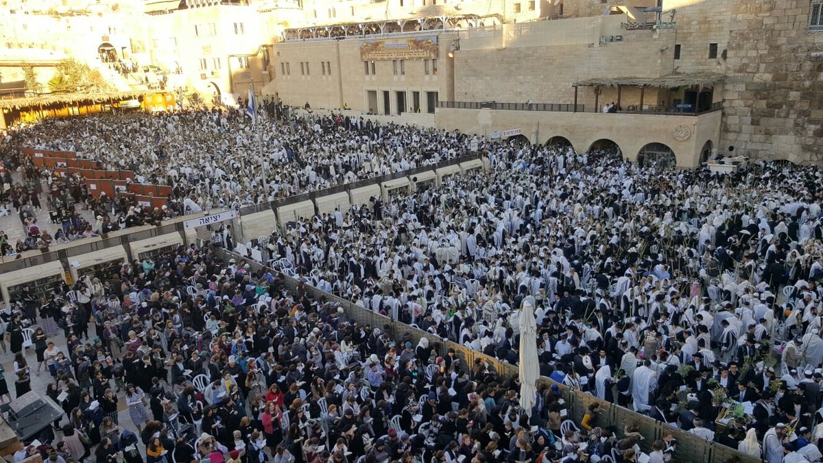 'הושענא רבה': אלפים הגיעו לכותל המערבי