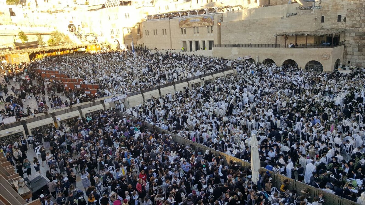 'הושענא רבה': אלפים הגיעו לכותל המערבי